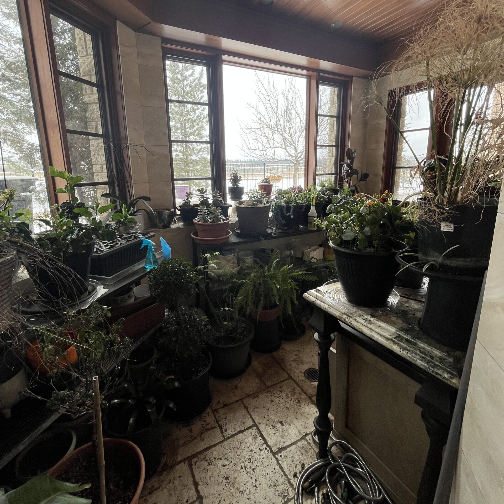 Professional Organizer Calgary Home Organization Before and After Images